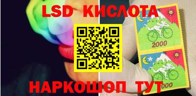 тгк Гусев