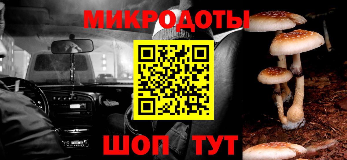 Галлюциногенные грибы Psilocybine cubensis Дедовск