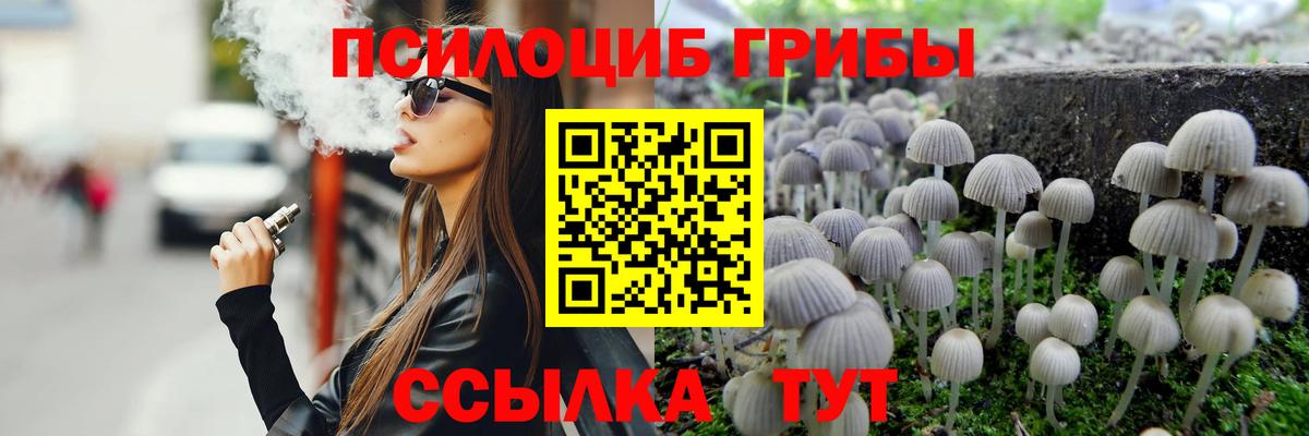 Дедовск  купить наркотик  Вход с VPN  Галлюциногенные грибы MAGIC MUSHROOMS 